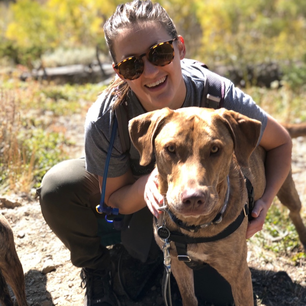 Meet your Posher, Rose